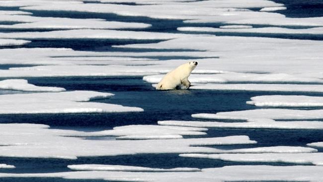Warming Arctic spurs battles for riches, shipping routes | iNFOnews.ca