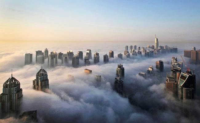 UAE top diplomat acknowledges visa restrictions on Pakistan | iNFOnews.ca