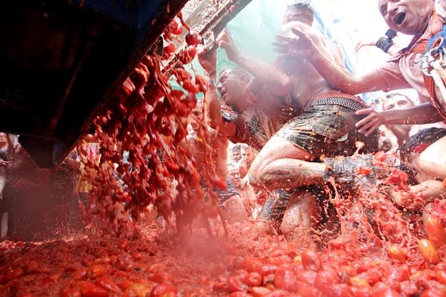 Annual tomato battle leaves Spanish town awash in red pulp | iNFOnews.ca