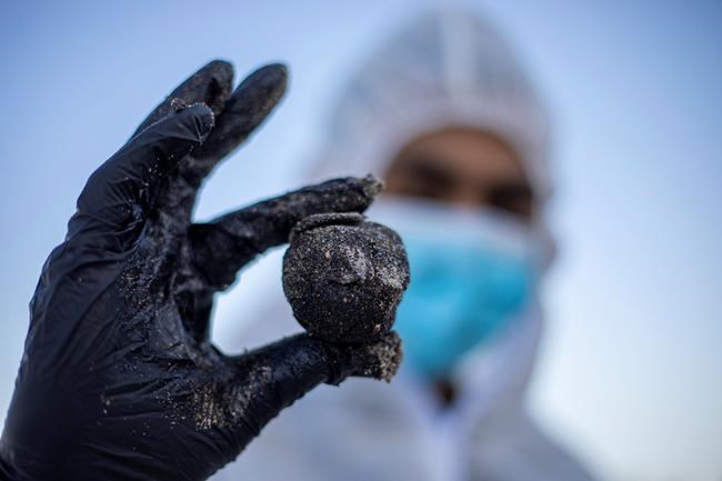 Volunteers mobilize to clean Israel's tar-coated beaches | iNFOnews.ca