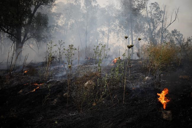 Wildfires sweep across Israel as heatwave grips region | iNFOnews.ca
