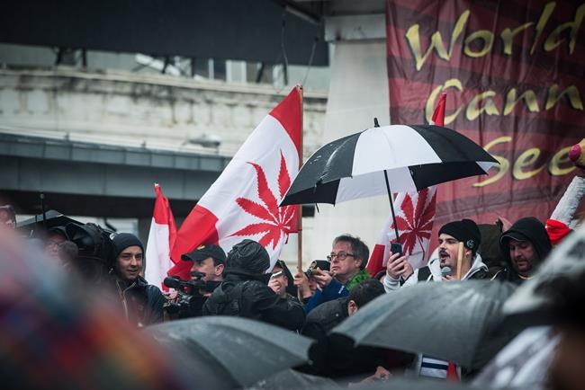 'Prince of Pot' and his wife denounce crackdown on marijuana users | iNFOnews.ca