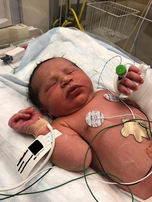 Baby found alive in plastic bag in woods; mother sought | iNFOnews.ca