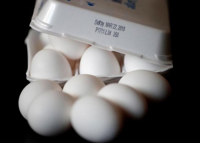 Arizona weighs unusual plan for longer egg expiration dates | iNFOnews.ca