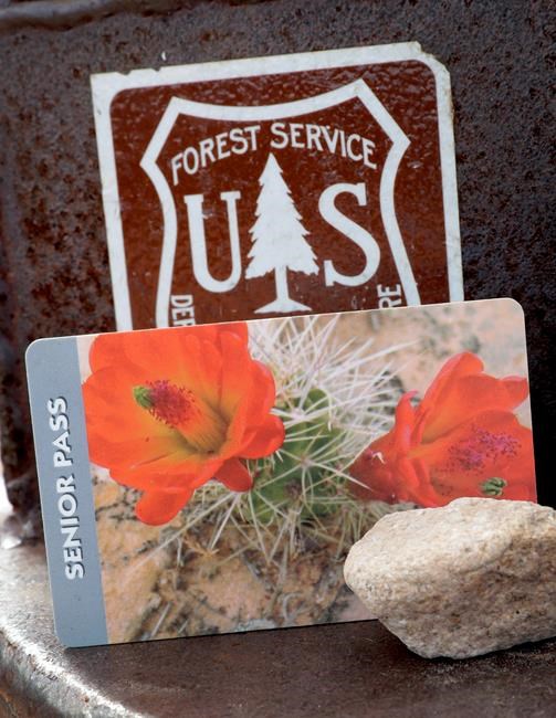 Seniors snap up US national park passes before price hike | iNFOnews.ca