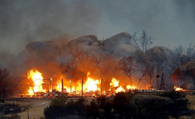 Film on deadly Arizona wildfire comes as California burns | iNFOnews.ca