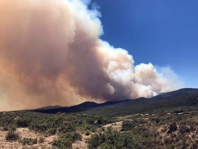 Police: Suspect posted photos from drone in Arizona wildfire | iNFOnews.ca