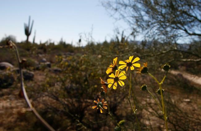 Completion of Maricopa Trail links parks around Phoenix | iNFOnews.ca