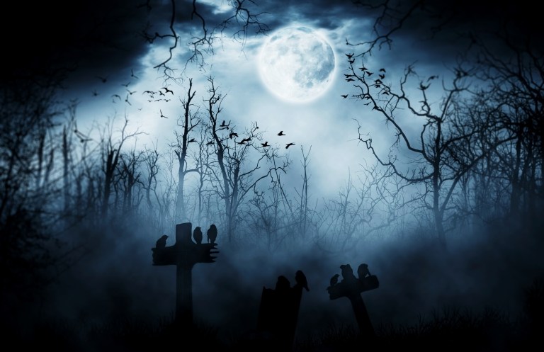 iN VIDEO: 2026 Okanagan Halloween Events | iNFOnews.ca