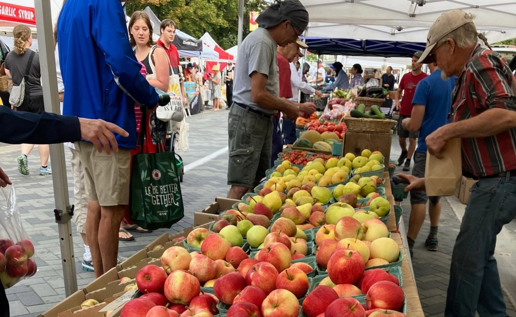 Penticton Farmer’s Market brings weekly fresh fruit and summer harvests | iNFOnews.ca Penticton Farmer’s Market brings weekly fresh fruit and summer harvests | iNFOnews.ca