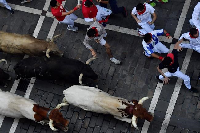 1 gored, 5 injured in race with bulls at Pamplona festival | iNFOnews.ca 1 gored, 5 injured in race with bulls at Pamplona festival | iNFOnews.ca