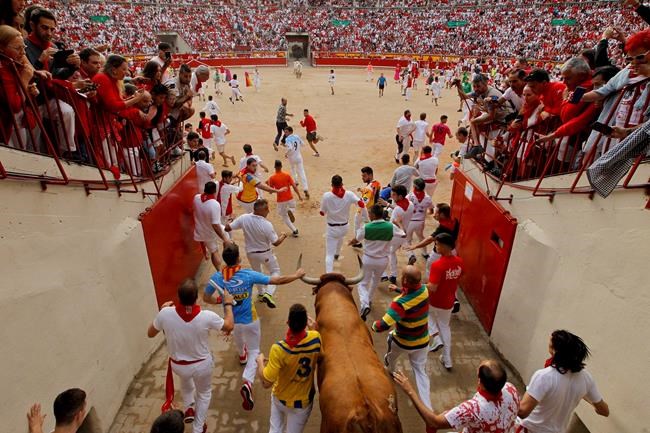 Pamplona festival ends with 3 gorings in final bull run | iNFOnews.ca