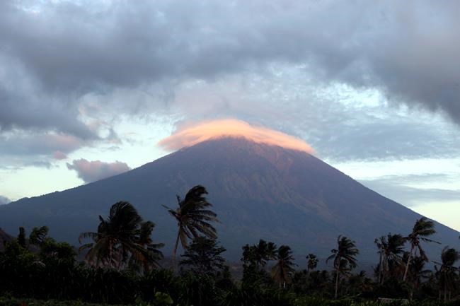 American woman's mission: Rescuing dogs from Bali volcano | iNFOnews.ca