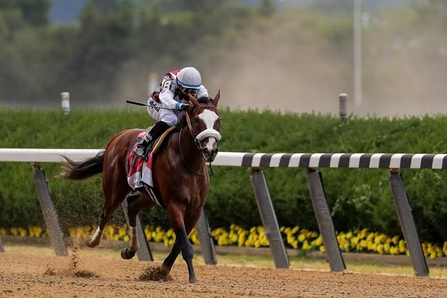 NY-bred Tiz the Law wins barren Belmont Stakes | iNFOnews.ca NY-bred Tiz the Law wins barren Belmont Stakes | iNFOnews.ca