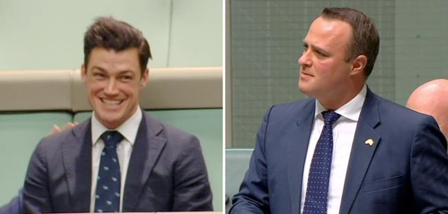 Lawmaker proposes during Australian same-sex marriage debate | iNFOnews.ca