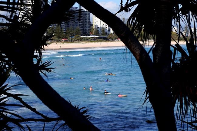 Australia officials probe if dead shark in net killed surfer | iNFOnews.ca Australia officials probe if dead shark in net killed surfer | iNFOnews.ca