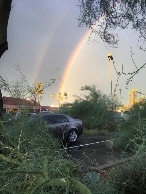 Summer storm delays flights, causes power outages in Phoenix | iNFOnews.ca