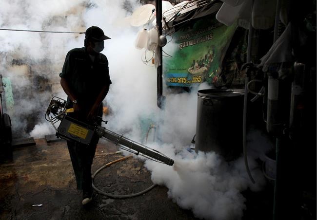 Thailand confirms SE Asia's first Zika-linked birth defects | iNFOnews.ca Thailand confirms SE Asia's first Zika-linked birth defects | iNFOnews.ca