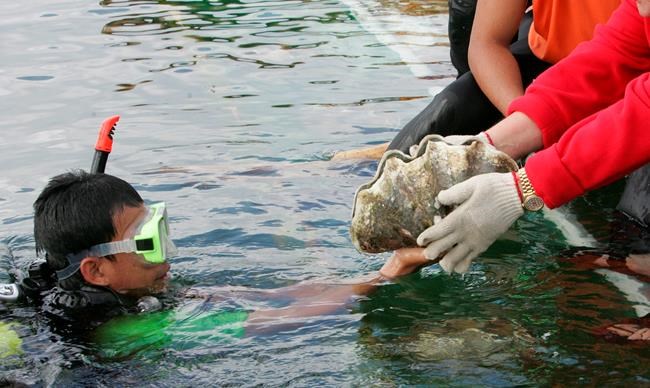 S.Korea actress charged in Thailand for catching giant clams | iNFOnews.ca