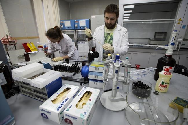 WADA visits Moscow lab seeking key doping data | iNFOnews.ca