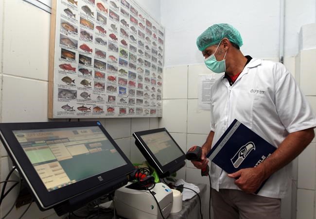 Tech solutions to tackle overfishing, labour abuse at sea | iNFOnews.ca