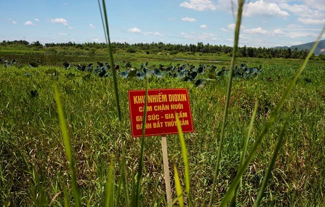 Vietnam, US complete cleanup of toxic chemical from airport | iNFOnews.ca Vietnam, US complete cleanup of toxic chemical from airport | iNFOnews.ca