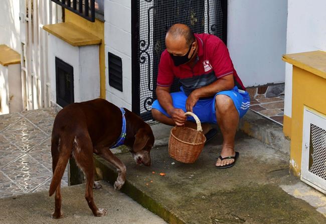 Doggy deliveries help Colombians shop during pandemic | iNFOnews.ca CP449484605