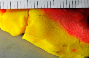 CP1918462570