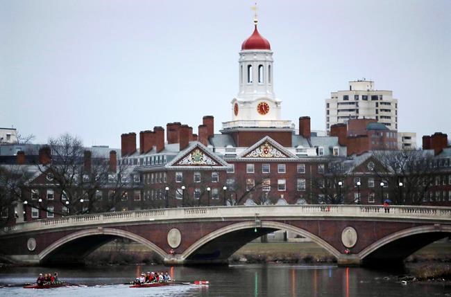 Appeals court clears Harvard of racial bias in admissions | iNFOnews.ca