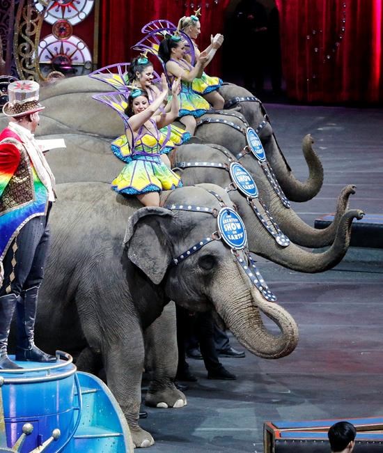 Last dance: Final performance for Ringling Bros. elephants | iNFOnews.ca
