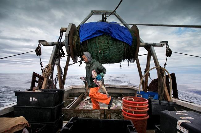 US fishermen lose quota in new fishing pact with Canada | iNFOnews.ca US fishermen lose quota in new fishing pact with Canada | iNFOnews.ca
