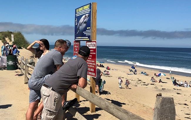 Sharks, tornadoes and taxes: Cape Cod's had a tough summer | iNFOnews.ca