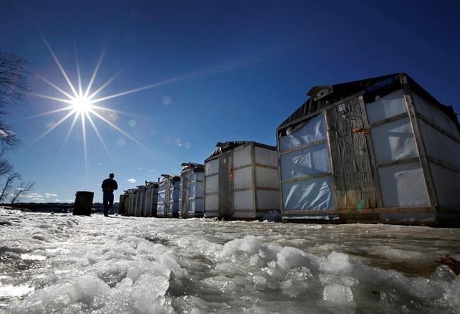 Maine's smelts, sought by ice fishermen, have strong winter | iNFOnews.ca