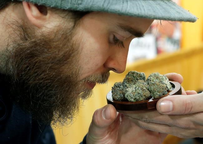 For cannabis legalization in New England, it's a slow burn | iNFOnews.ca