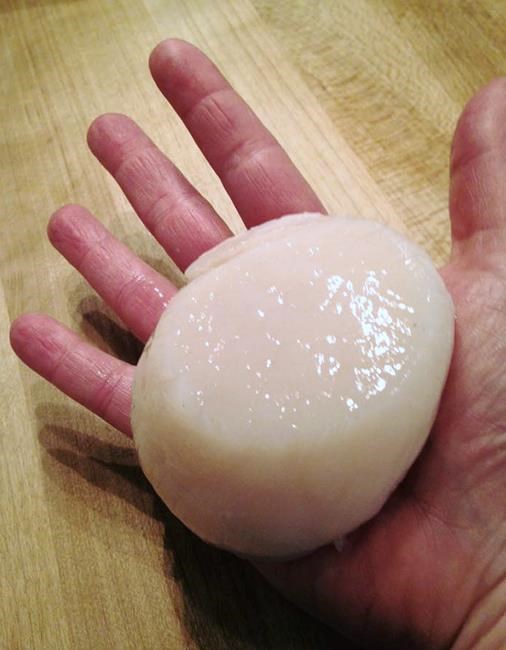 Maine's meaty mollusks likely bring strong scallop season | iNFOnews.ca