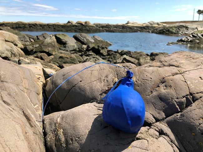 More states aim to knock air out of festive balloon launches | iNFOnews.ca