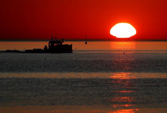 Waters off New England in midst of record year for warmth | iNFOnews.ca Waters off New England in midst of record year for warmth | iNFOnews.ca