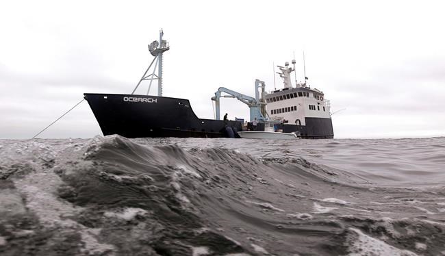 CP1658177900