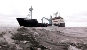 CP1658177900