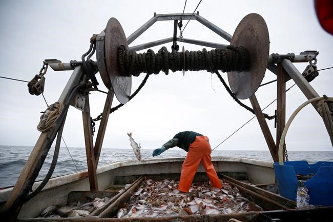 Plan to change New England ocean stewardship up for debate | iNFOnews.ca Plan to change New England ocean stewardship up for debate | iNFOnews.ca