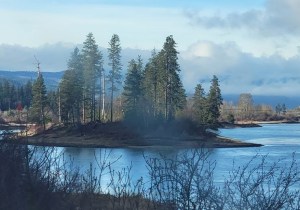 An island with trees on it sticks out of a wide river.
