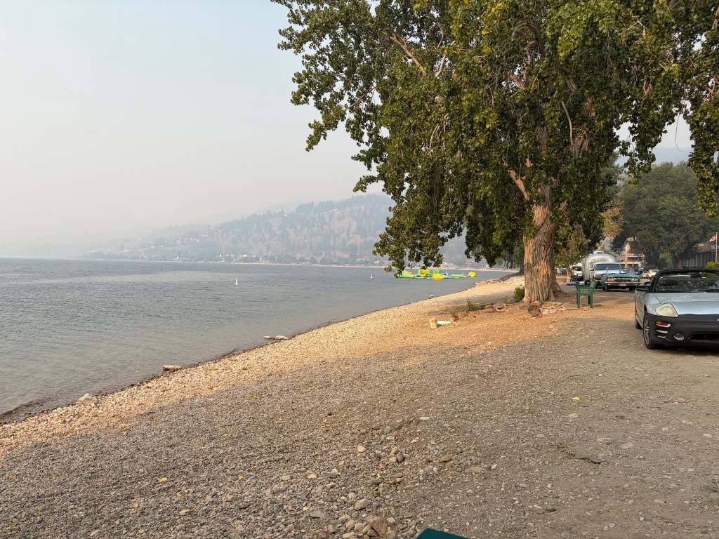 Peachland mayor suspends bylaw, welcomes wildfire refugees to beach front | iNFOnews.ca