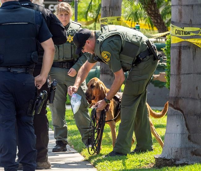 California university consultant killed in campus stabbing | iNFOnews.ca