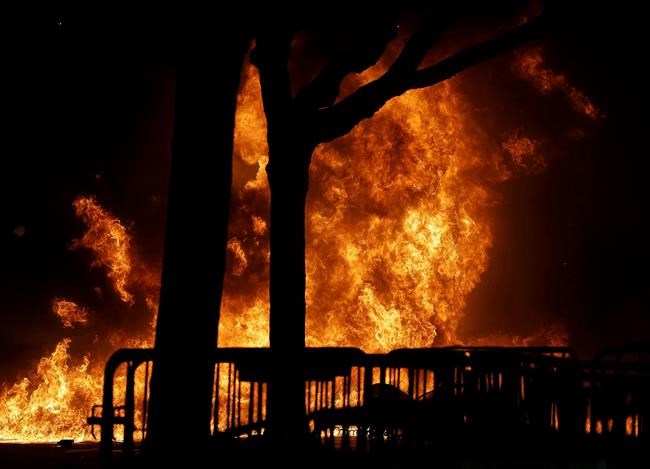 Violent protesters block Berkeley talk by Breitbart editor | iNFOnews.ca