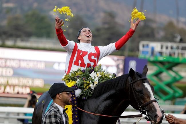 15-1 long shot fatally injured in Breeders' Cup Classic | iNFOnews.ca 15-1 long shot fatally injured in Breeders' Cup Classic | iNFOnews.ca