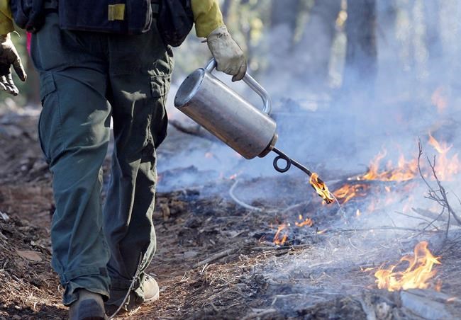 California will set more fires to try to stop wildfires | iNFOnews.ca
