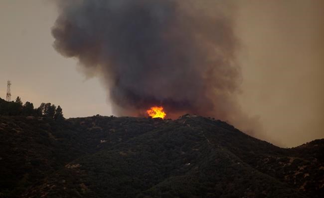 The Latest: Brush fire forces Burbank residents from homes | iNFOnews.ca The Latest: Brush fire forces Burbank residents from homes | iNFOnews.ca