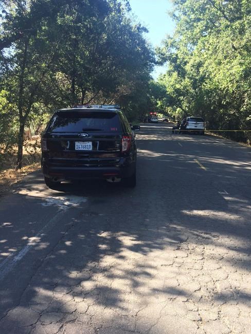 Police find toddler dead in backseat of SUV; couple detained | iNFOnews.ca