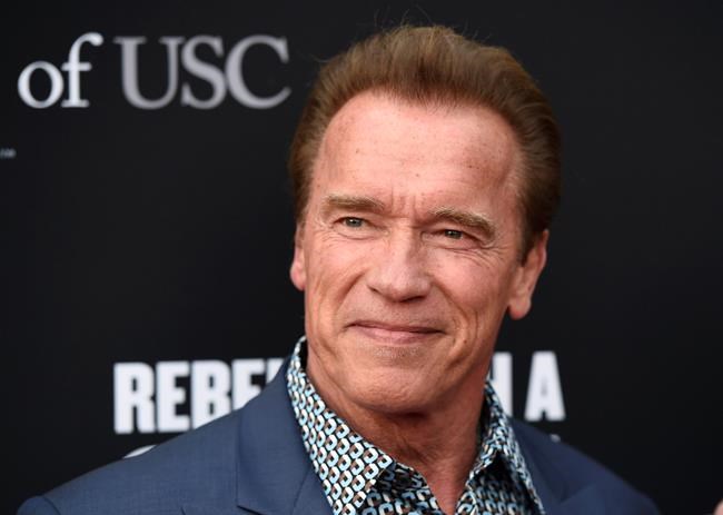 Elephant has brush with fame on Schwarzenegger's safari | iNFOnews.ca
