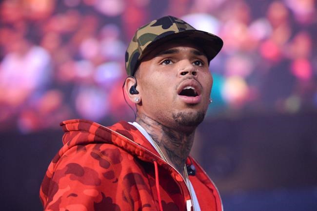Chris Brown must give up monkeys under judge's restrictions | iNFOnews.ca